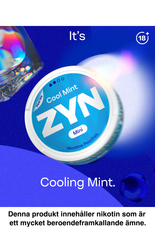 ZYN Cool Mint Mini