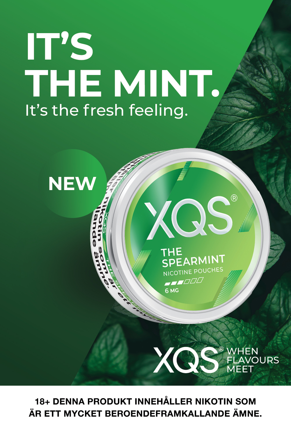 XQS - Ny smak - The Spearmint 6mg