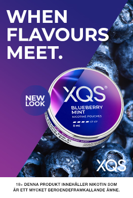 XQS  Blueberry Mint