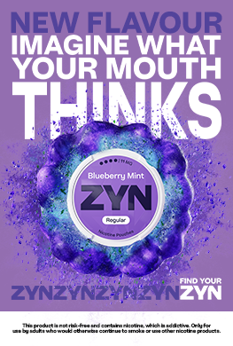 ZYN Blueberry Mint