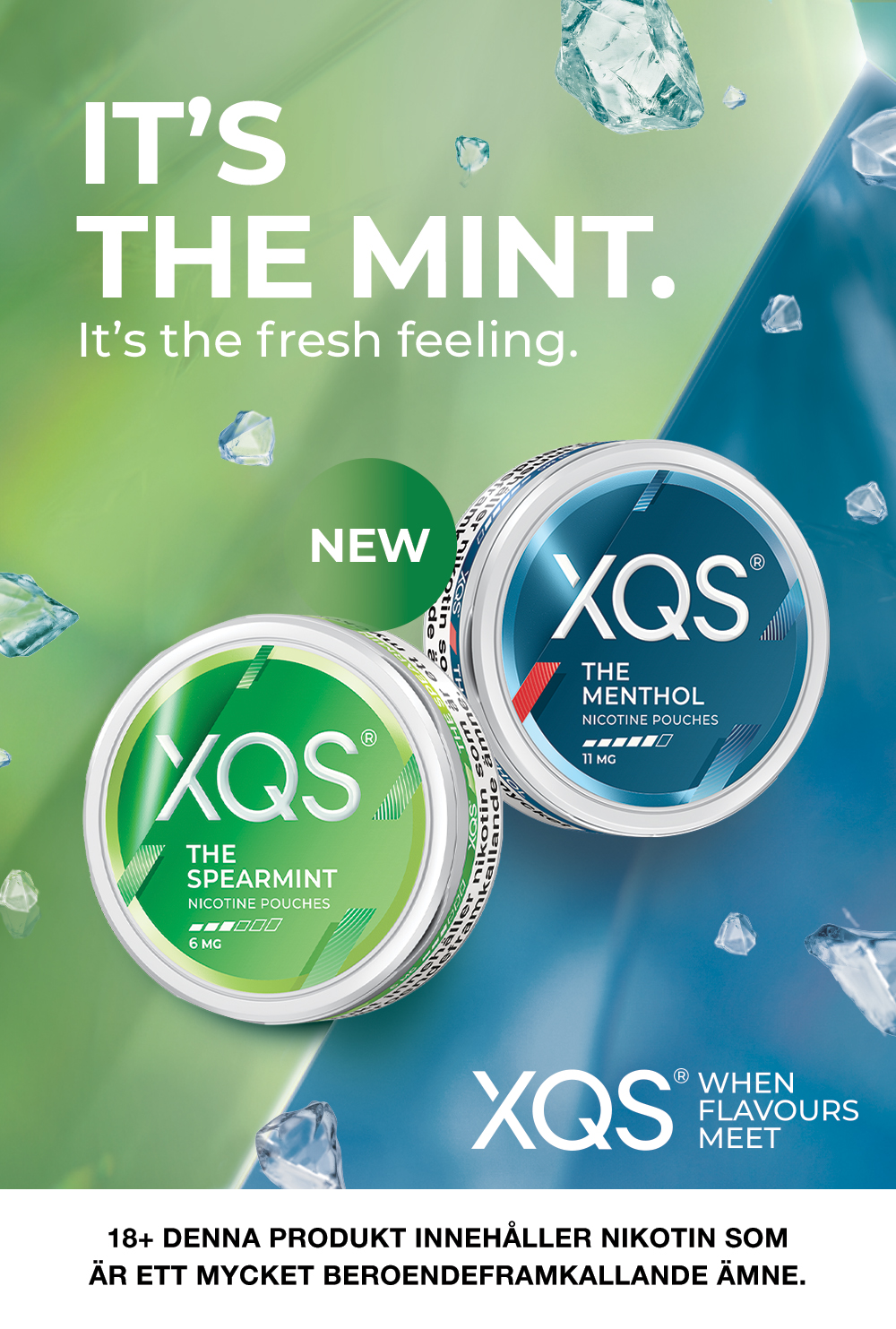 XQS - två dosor med två olika smaker. The spearmint 6mg och The menthol 11mg